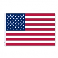 American Flag (7)